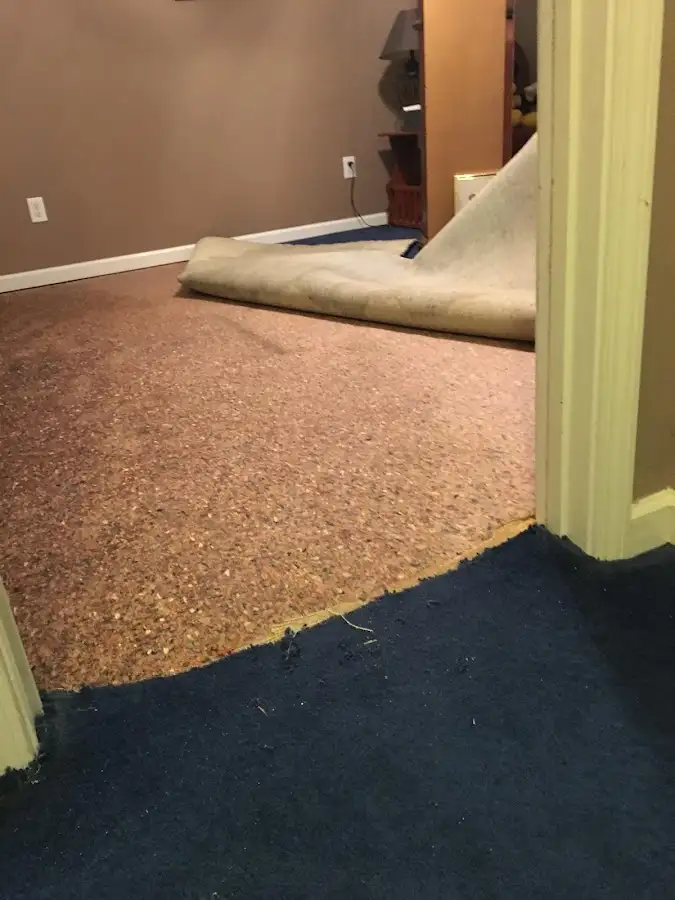Carpet pad removal revealing water damage during Water Mitigation Services in Gardner