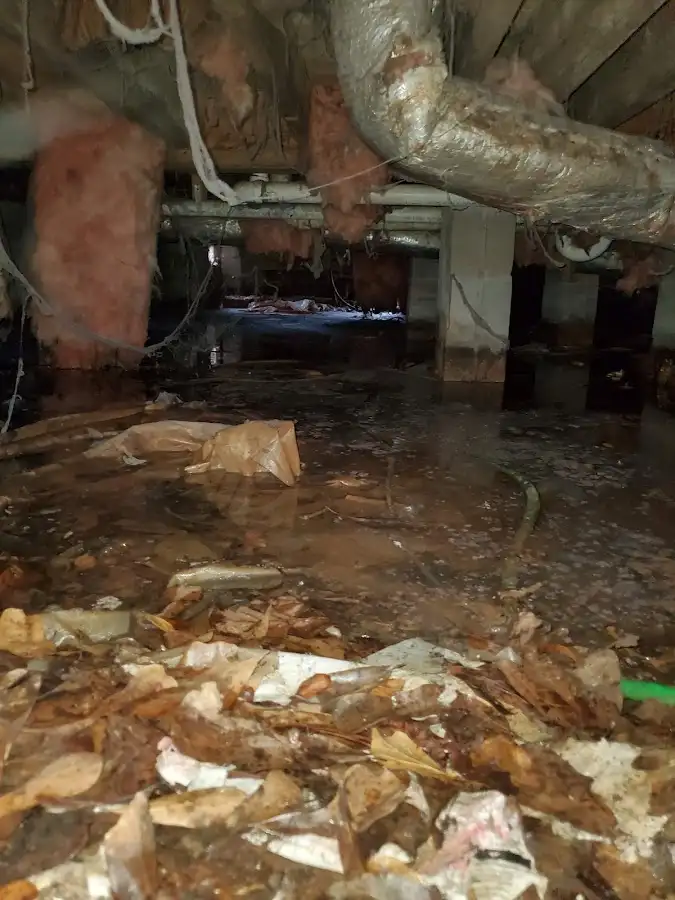 Crawl space flood assessment for Leak Detection & Repair in Gardner